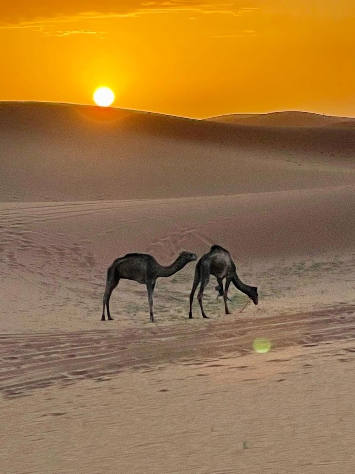 Chigaga Desert Camp M'Hamid El Ghizlane Exterior foto
